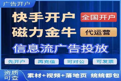 某知名品牌SEM运营策略及效果评估